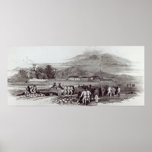 ノーフォーク島 ポスター (正面)