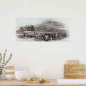 ノーフォーク島 ポスター (キッチン)