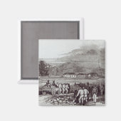 ノーフォーク島 マグネット (正面/裏面)