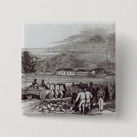 ノーフォーク島 缶バッジ (正面)