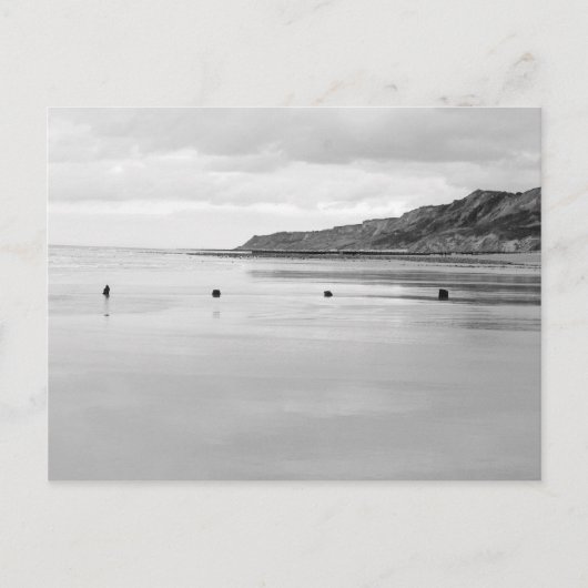 ノーフォーク海岸 ポストカード (正面)