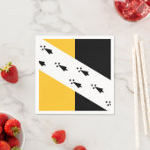 ノーフォーク紙ナプキンス国旗 スタンダードカクテルナプキン (インサイチュ)