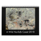 ノーフォーク(イギリス)の沿岸野性生物のカレンダー2018年 カレンダー (カバー)
