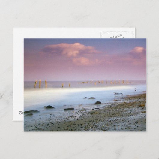 「ノーフォーク・コースト」のはがきがき ポストカード (正面/裏面)