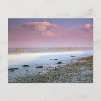 「ノーフォーク・コースト」のはがきがき ポストカード