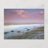 「ノーフォーク・コースト」のはがきがき ポストカード (正面)