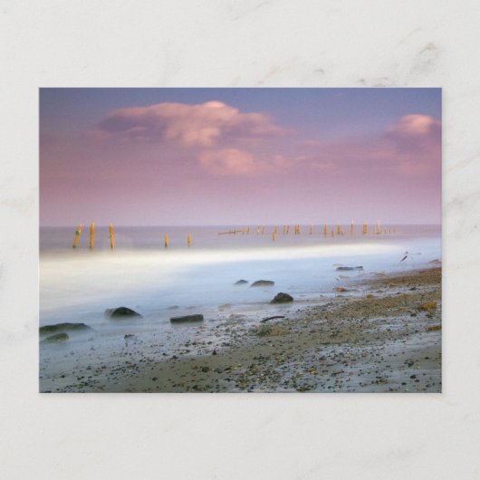 「ノーフォーク・コースト」のはがきがき ポストカード (正面)