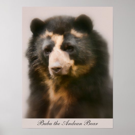 ノーブルブブポートレート ポスター (正面)