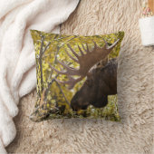 ノーブルブルムース クッション (ブランケット)