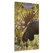 ノーブルブルムース クリップボード (右)