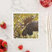 ノーブルブルムース スタンダードカクテルナプキン (インサイチュ)