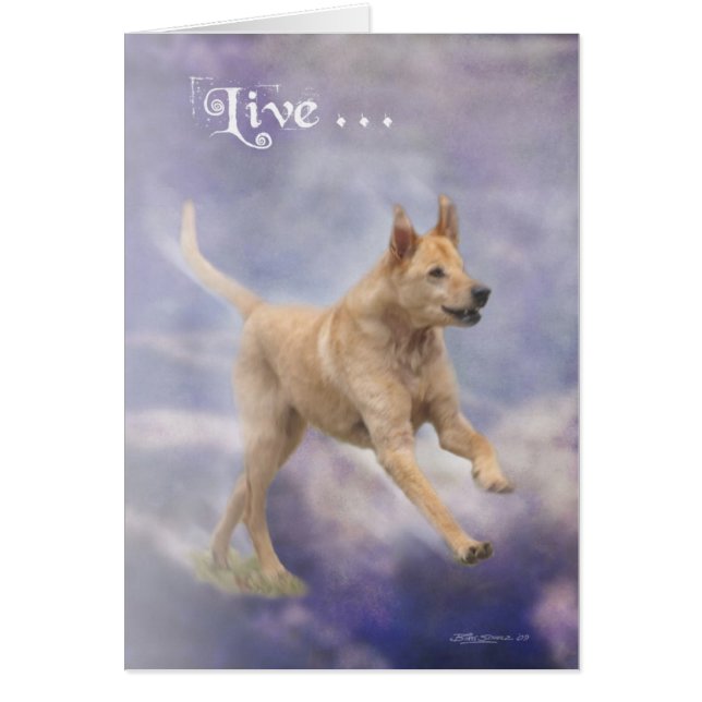 ノーブル (正面)