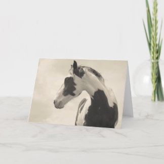 ノーベル獣 カード