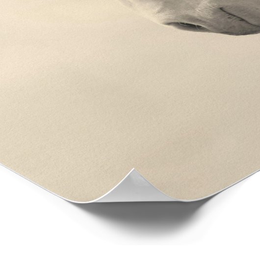 ノーベル獣 ポスター (角)