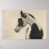 ノーベル獣 ポスター (正面)