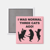 ノーマルな猫が3匹いた頃 面白い冷蔵庫マグネット マグネット (正面/裏面)
