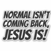 ノーマルはバックスケー来ボードデカールシール シール (正面)