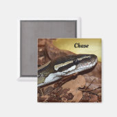 ノーマルボールPythonヘビのクローズアップ マグネット (正面/裏面)