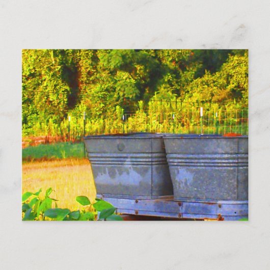 ノーラズタブ ポストカード (正面)