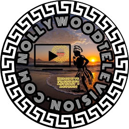 ノーリウッドTシャツ Tシャツ