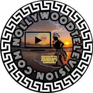 ノーリウッドTシャツ Tシャツ