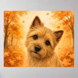 ノーリッチ・テリアの秋の森の犬 ポスター