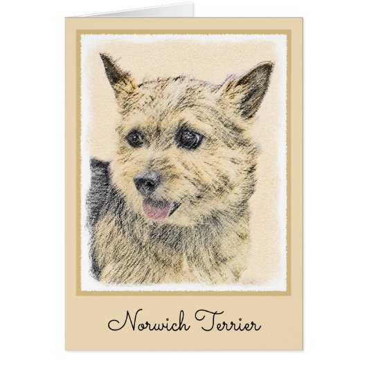 ノーリッチ・テリアの絵 - かわいいオリジナルの犬の芸術 (正面)