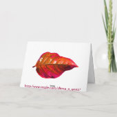 ノールオンザベイ シーズンカード (裏面)