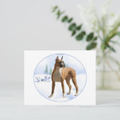 ノールボクサー シーズンポストカード (スタンド正面)