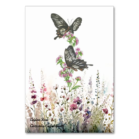 ハかわいらしンドセイロンバラ蝶 テーブルナンバー (正面)