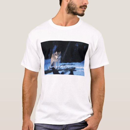 ハイイロオオカミ、タイリクオオカミ、丘陵地 Tシャツ (正面)