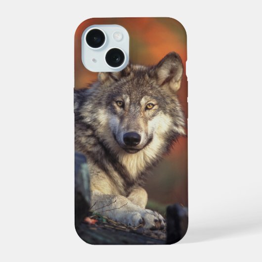 ハイイロオオカミ iPhone 15ケース (裏面)
