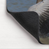 ハイイロガン マウスパッド (コーナー)