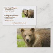 ハイイログマのカブスの名刺 名刺 (正面/裏面)