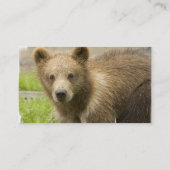 ハイイログマのカブスの名刺 名刺 (裏面)