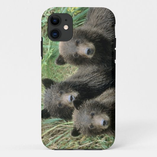ハイイログマの子グマ Case-Mate iPhoneケース (裏面)