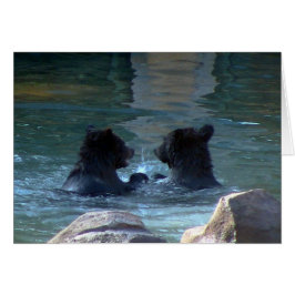 ハイイログマの水泳パーティー
