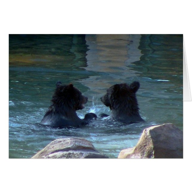 ハイイログマの水泳パーティー (正面横)