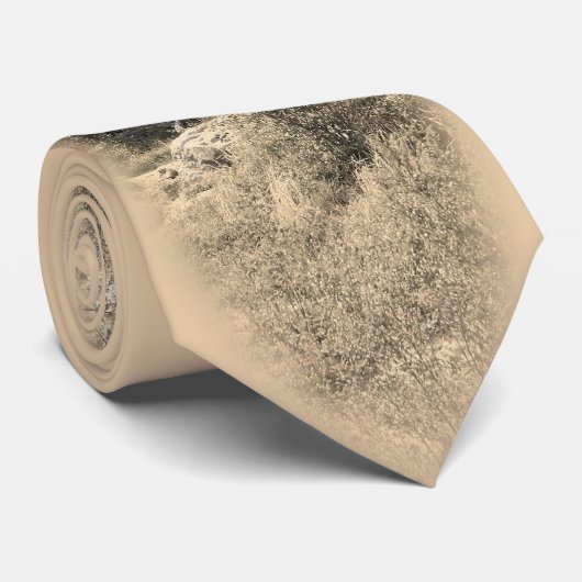 ハイイログマ ネクタイ (ロール)