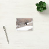 ハイイログマ ポストイット (オフィス)