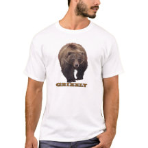 ハイイログマTシャツ