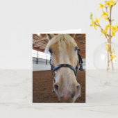 ハイウマ カード (黄色い花)