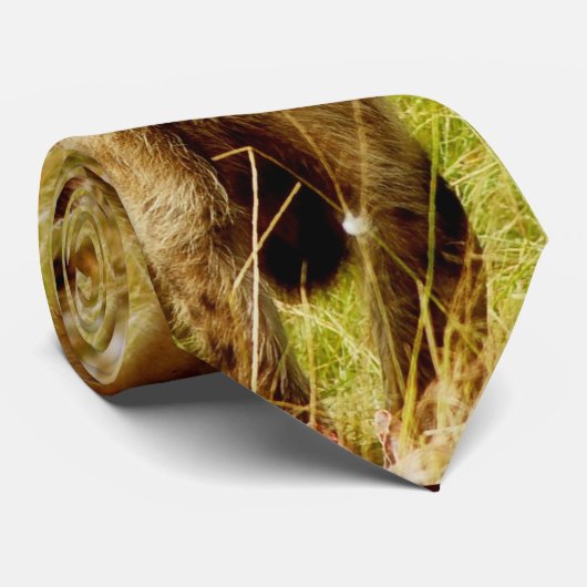 ハイエナのタイ ネクタイ (ロール)