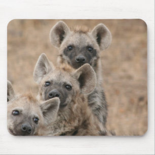 ハイエナのマウスパッド マウスパッド
