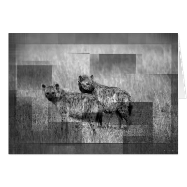 ハイエナスカード (正面横)
