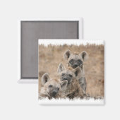 ハイエナスススクエアマグネット マグネット (正面/裏面)