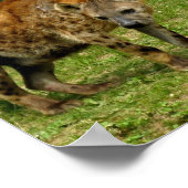 ハイエナプロールポスタープリント ポスター (角)