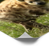 ハイエナポスタープリント ポスター (角)