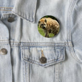 ハイエナ円形Pin 缶バッジ (インサイチュ)