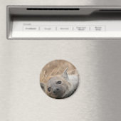 ハイエナ写真磁石 マグネット (インサイチュ (食洗機))